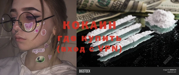 ПСИЛОЦИБИНОВЫЕ ГРИБЫ Нея