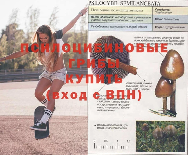 шишки Нефтегорск