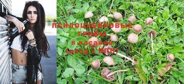 шишки Нефтегорск