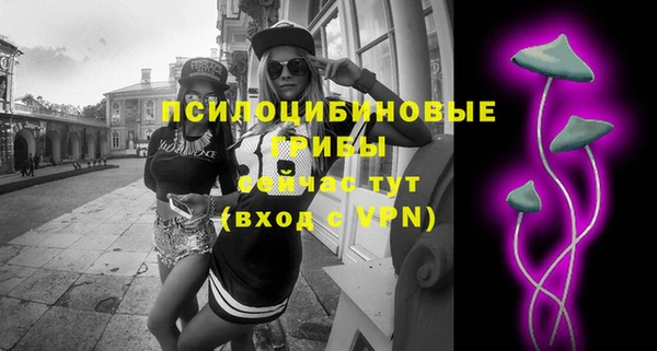 ПСИЛОЦИБИНОВЫЕ ГРИБЫ Нея