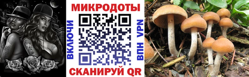 блэк спрут как зайти  Ялта  Галлюциногенные грибы ЛСД 
